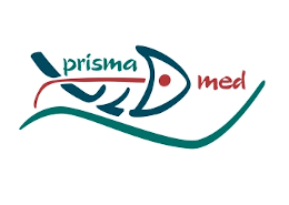 Logo Prismamed