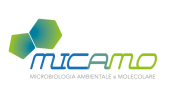 Logo MICAMO